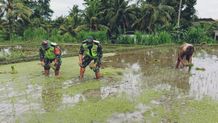 Mendukung Program Ketahanan Pangan, Babinsa Berikan Motivasi Positif untuk Kelompok Tani di Willayah Binaan Kelompok Tani