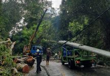 PLN UID Bali Siaga Hadapi Bencana Alam PLN Siaga