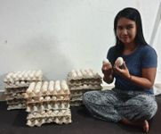 Musim Hujan, Harga Telur Bebek Melambung Telur Bebek
