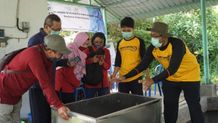UGM Latih Kelompok Tani Yogyakarta-Jateng Budidaya Wader Pari Budidaya