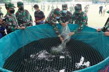 Mendukung Terwujudnya Ketahanan Pangan, Korem 163/Wira Satya Budidaya Lele dan Tanaman Hidroponik Budidaya Lele