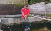 Berawal dari Hobi Melihara Ikan, Nyoman Ardika Terjun ke Bisnis Budidaya Lele Budidaya Lele