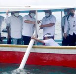 NGO Metamorfosa: Teknis Pelepas Liar Lobster Dilakukan Pak Menteri Tepat dan Efesien Lobster