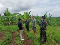 Dandim Terjun Langsung ke Lapangan, Pastikan Kesiapan Ketahanan Pangan di Kabupaten Jembrana Pangan