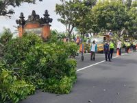 Antisipasi Cuaca Ekstrem, Tim Gabungan Dishub Gianyar Pangkas Pohon di By Pass Ida Bagus Mantra Pangkas Pohon
