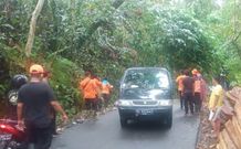 Serumpun Pohon Bambu Tumbang, Akses Jalan Marga-Selanbawak Terganggu Pohon Bambu