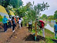 PLN Peduli Bersama Pokdarwis Ambengan Ijo Gading Lakukan Penanaman Pohon Penanaman Pohon