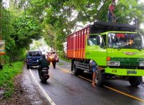 Truk Pengangkut Kotoran Ayam Mogok di Jalan Tanjakan Truk Mogok