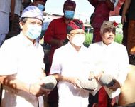 Pembangunan Gedung MDA di 9 Kabupaten/Kota se-Bali Akhirnya Terwujud Gedung MDA
