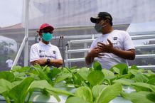 PLN UID Bali Dorong Modernisasi Pertanian dengan Electrifying Agriculture Electrifying Agriculture