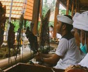 Gusde Mahendra Lestarikan Warisan Leluhur di Tengah Pandemi dan Gejolak Kemajuan Zaman Dalang Remaja