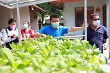 Bupati Suwirta Minta Pendamping dan Penyuluh Agar Proaktif Melakukan Pemantauan Hidroponik