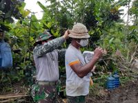 Disiplin Prokes, Satgas TMMD dan Warga Masyarakat Mendapat Dukungan Masker Baru Masker