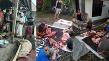 Penampahan Galungan, Dalam Lontar Sundarigama Dijelaskan Seperti Ini Penampahan Galungan