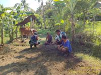 Kodim Karangasem Bersama Poktan Karma Seraya Galakan Penanaman Sorgum Sorgum