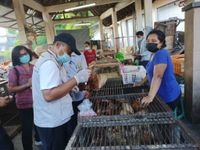 Antisipasi Penyebaran Virus AI, Distan Denpasar Cek Unggas di Pasar Kumbasari Pasar Kumbasari