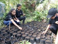 Strategi Pembelajaran Baru, Pasca Pandemi Covid-19 Strategi Pembelajaran Baru