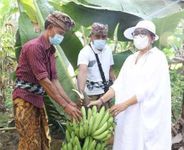 Dorong Semangat Kreativitas, Putri Koster Sapa Kader PKK Desa Sesandan Tabanan HATINYA PKK