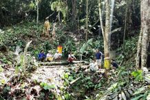 Dari Film Pangapti Pengelukatan Pura Ulun Sui Dibangun di Karang Agung Lampung Pura Ulun Sui