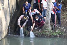 Wabup Suiasa Tebar 10.000 Benih Ikan Nila di Br. Juwet Abiansemal Benih Ikan