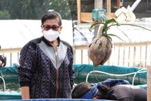 Terbukti Ramah Lingkungan, Putri Koster Dukung Sistem Bioflok untuk Budidaya Ikan di Bali Budidaya Ikan