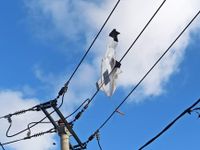 Musim Layangan Tiba, PLN Siap Amankan Keandalan Pasokan Listrik Layangan