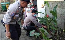 Wujudkan Lingkungan Kerja yang Bersih dan Hijau, Polsek Selbar Tanam 15 Jenis Tanaman Bunga Tanam Bunga