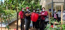 Petani Didorong Manfaatkan Eco-Enzyme Sebagai Biopestisida Eco-Enzyme