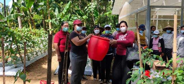 bpn-Petani Didorong Manfaatkan Eco-Enzyme Sebagai Biopestisida _mbb Eco-Enzyme