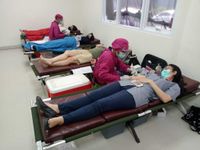 PD PDDI Bali Hidupkan Kembali Lentera Kasih Sayang Lewat Berdonor Darah Donor Darah