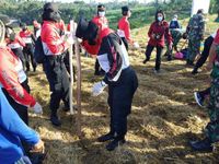 Jaga Ketahanan Pangan, Kapolsek Seltim dan Masyarakat Mambang Tanam Benih Jagung Jagung