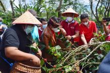 Bupati Agus Suradnyana Minta UKM Bersatu Tingkatkan Kualitas Kopi Buleleng Biji Kopi