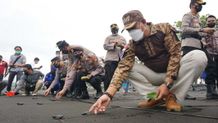 Lepas 200 Ekor Tukik di Pantai Klotok, Wabup Kasta: Kelestarian Fauna yang Dilindungi Ini Harus Kita Jaga Bersama-sama Tukik Penyu