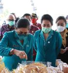 Putri Koster Minta Kader PKK Jadi Pelopor Perubahan di Masyarakat PKK