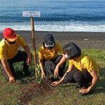 Selamatkan Bumi dengan Aktivitas Penghijauan Menanam Pohon Pohon