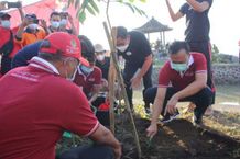 Serangkaian Bulan Bung Karno dan Hari Lingkungan Hidup Sedunia, Pemprov Bali Ajak Masyarakat Bangun Budaya Hijaukan Lingkungan Pohon