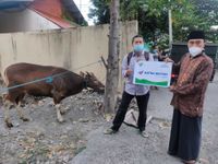 Wujud Berbagi Astra Motor Bali Serahkan Hewan Kurban Kepada Masyarakat Idul Adha