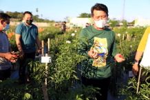 Bupati Suwirta Panen Perdana Cabai dan Bawang Merah Panen