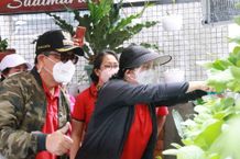 Ketua TP PKK Tabanan Panen Sayur Organik di Kantor Desa Sudimara Panen Sayur