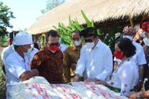 Beli Beras dari Petani Denpasar, BMPD dan BCA Sumbang 5 Ton Beras ke Kota Denpasar Beras