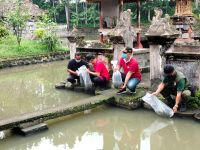 Serangkaian HUT RI ke-76, Wabup Wayan Diar Tebar Ribuan Benih Ikan Nila Bibit Ikan