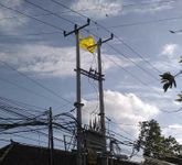 Gencar Sosialisasikan Bahaya Bermain Layang–Layang Dekat Jaringan Listrik, PLN Pastikan Gangguan Jaringan Turun 61 Persen Gangguan Listrik
