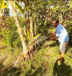 Lebih Efisien, Electrifying Agriculture Bantu Tingkatkan Produktivitas Petani Buleleng PLN