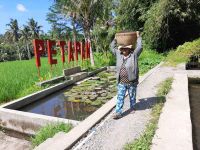 Sukses Berdayakan Masyarakat, PLN Raih Enam Penghargaan Nusantara CSR Awards 2021 CSR PLN