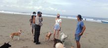 Pasca Dibukanya Sejumlah DTW, Wisatawan Mulai Ramai Berkunjung Ramai ke Pantai