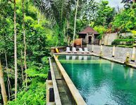 Bali Jungle Huts, Unik di Tengah Modernisasi Bali Jungle Huts