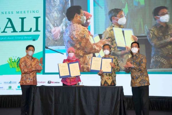 Listrik Desa