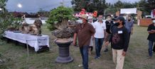 Buka Pameran Bonsai, Bupati Tamba: Jika Ditekuni, Potensi Ekonomi Menjanjikan Pameran Bonsai