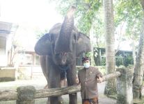 Wabup Kasta Ajak Masyarakat Klungkung untuk Menikmati Pariwisata yang ada di Klungkung Gajah