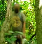 Seorang WNA Ditemukan Tewas Gantung Diri di Hutan Monyet Ubud Gantung Diri